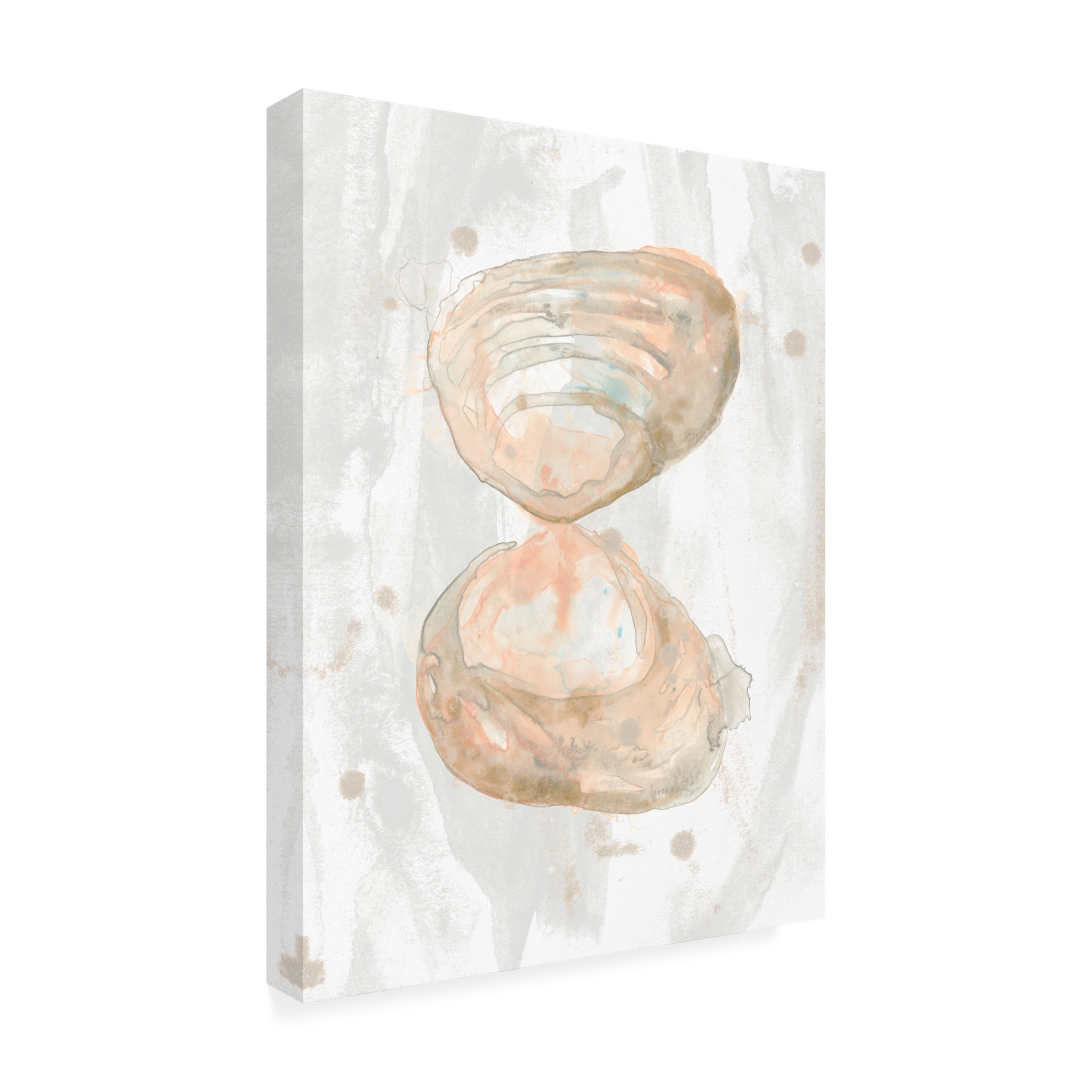 June Erica Vess 'Muted Molusk IV' Canvas Art