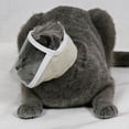 thumbnail image 3 of Langgg Transparent Cat Face Mask Cat Muzzle Anti Bite Anti Called Medium, 3 of 8