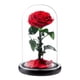 thumbnail image 1 of Kit de rosas de La Bella y la Bestia XCF rosa eterna en un vaso regalos románticos de cumpleaños para novias, 1 of 4
