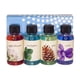 thumbnail image 1 of Paquete De Fragancias Genuinas Rainbow Y Rainmate (Manzana, Eucalipto, Pino Y Violeta), 1 of 3
