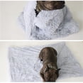 thumbnail image 4 of Plush Pet Blanket Double-sided Soft Warm Solid Color Cat Blanket Dog Blanket, 4 of 10
