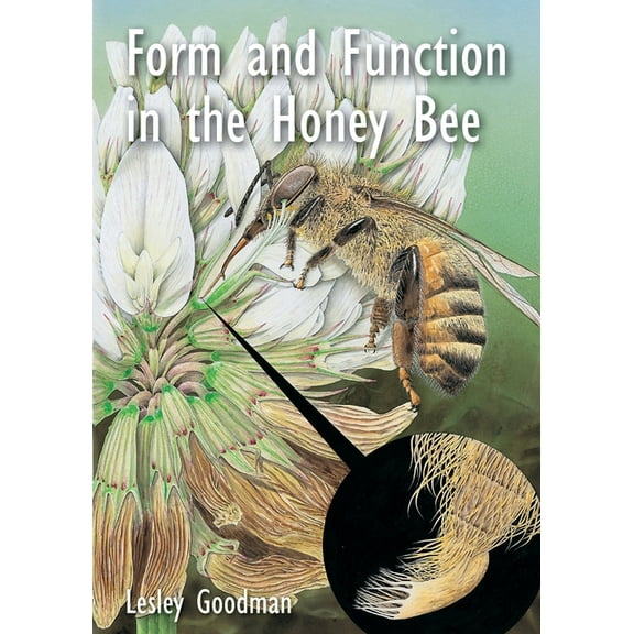 Form and Function in the Honey Bee (Paperback)
