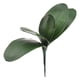 thumbnail image 2 of Hojas de Orquídeas Phalaenopsis Verdes Artificiales Arreglo de Plantas de Tacto Real para Decoración de Bonsái de Jardín de Flores ANGGREK  Otros, 2 of 8
