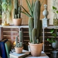 thumbnail image 3 of Artificial Cactus in Brown Pot, 3 of 11