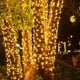 thumbnail image 5 of Guirnalda de luces para exteriores, 100 m, 200 m, 500 m, 600 m, resistente al agua, con luces parpadeantes navideñas, para enchufar, para bodas y fiestas, 220 V, 5 of 5