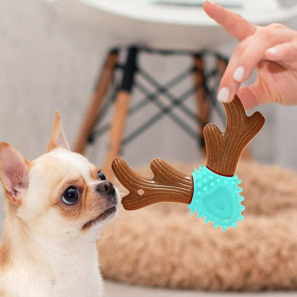 Juguete para de perro, juguetes interactivos para perros, juguete