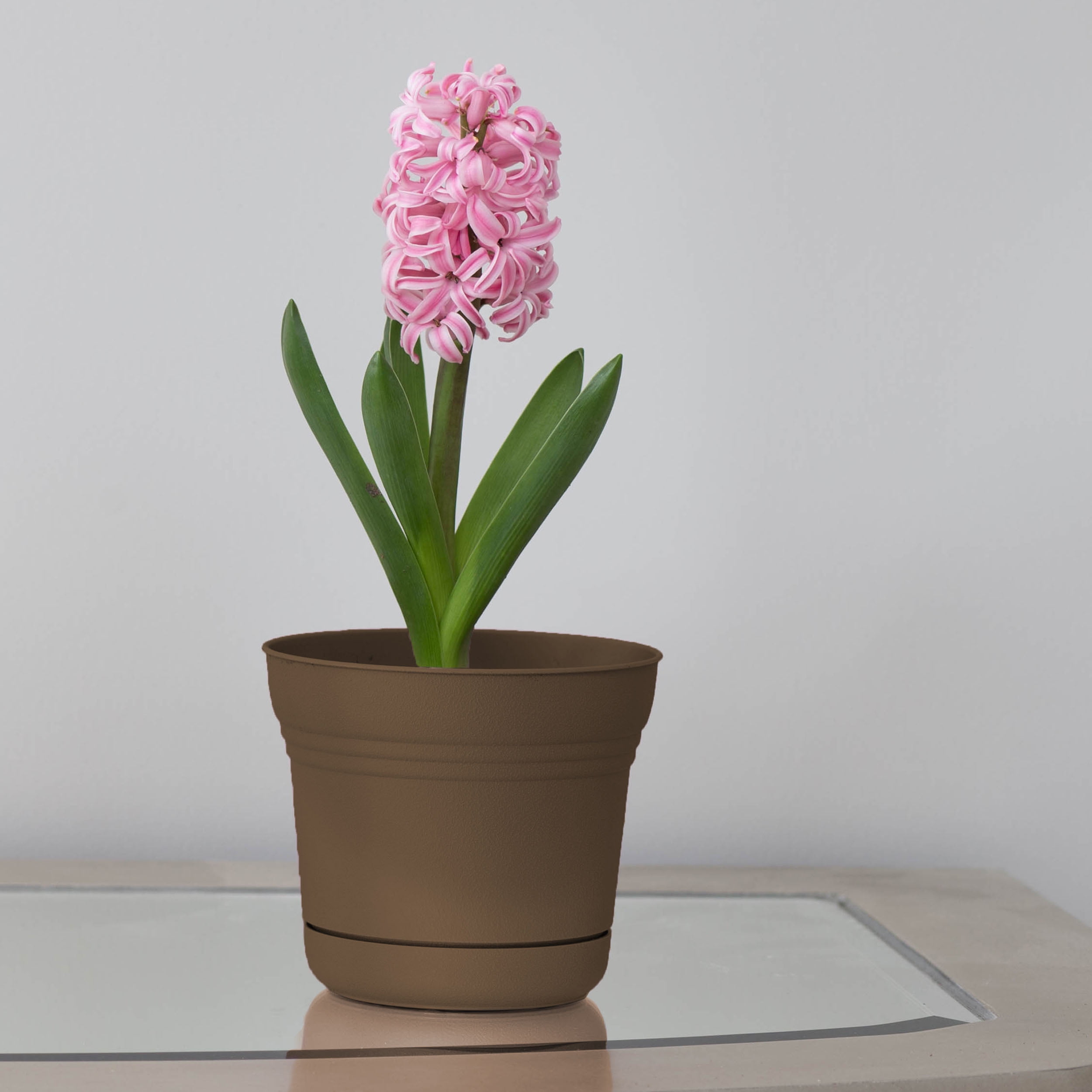 Bloem Saturn Planter