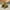 Brown, variant on Toys for Boys 4-6 Transforming Dinosaur Tank Toy Collision Transforming Press Launchable Children's Toy