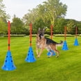 thumbnail image 3 of Ourlova Dog Agile Hurdle Cone Set - Dog Training Agile Equipment with Height Adjustable Crossbar for Beginners Advanced - Dog Obstacle Courses with 12 Cones 6 Agile Rods Carry Bag, 3 of 6