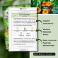 thumbnail image 2 of Alaska Mix Nasturtium Seeds - Non GMO Heirloom Varieties for Planting, 2 of 5