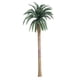 thumbnail image 4 of Modelo de construcción árbol de coco recepción en casa Mini paisaje modelo de plástico palmera accesorios de bricolaje 10 Piezas, 4 of 6