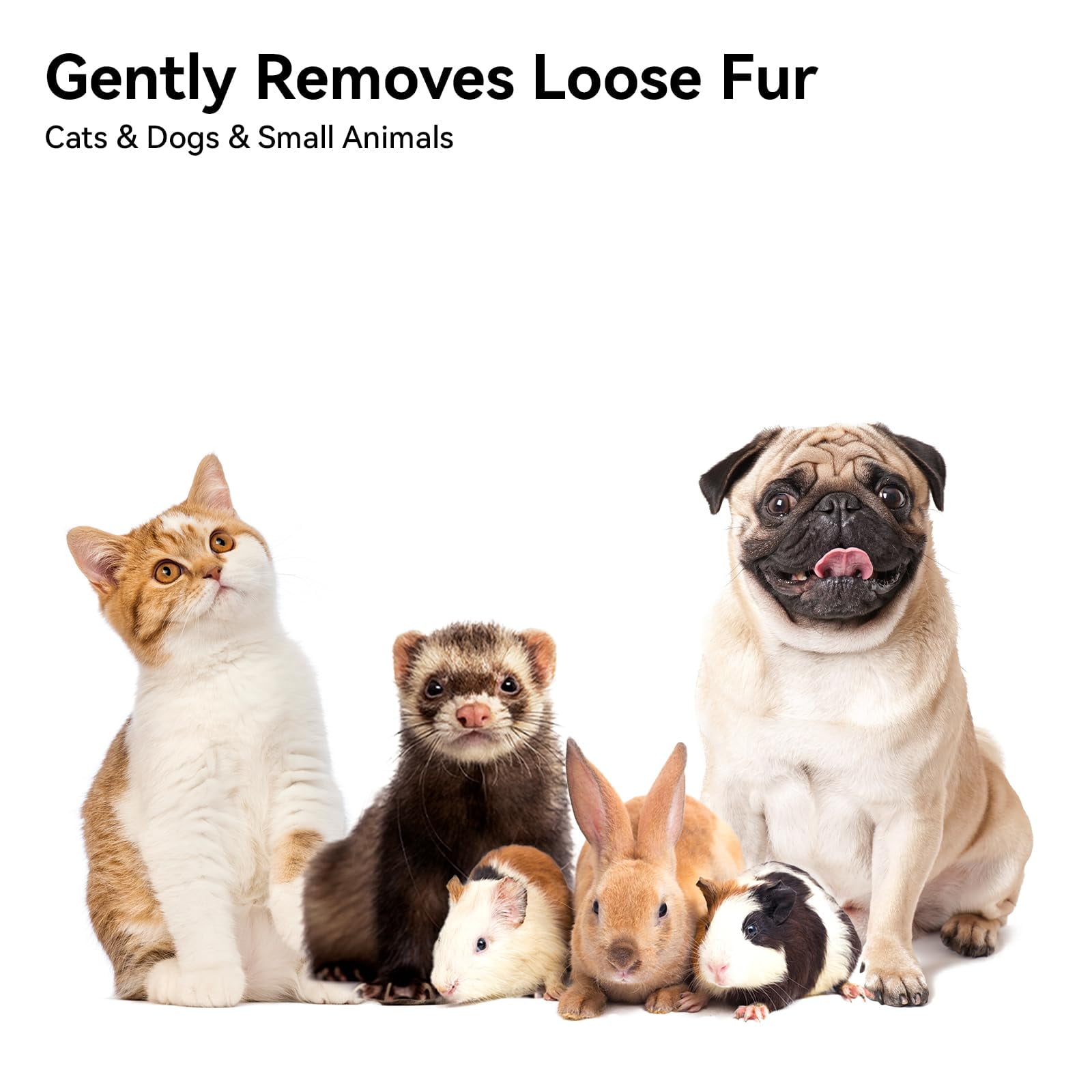 Cat Brush for Shedding, Cat Brushes for Indoor Cats, Cat Brush for Long or Short Haired Cats, Cat Grooming Brush Cat Comb for Kitten Rabbit Massage Removes Loose Fur