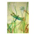 thumbnail image 1 of Betsy Drake FL187G Drapeau de Libellule 28 x 40 Po, 1 of 1