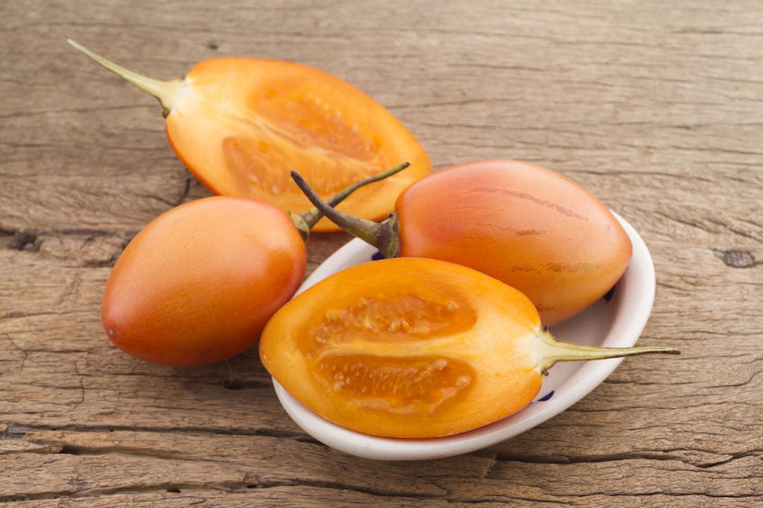 Seed Pack = = = Rare Yellow Tropical Tree Tomato -10 Seeds -Container Gardening-  -Ornamental plant seed -Solanum Betacea=See Description