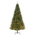 thumbnail image 1 of Celebrations 9071475 9 ft. Full LED 600 lights Spruce Christmas Tree, Warm White, 1 of 1