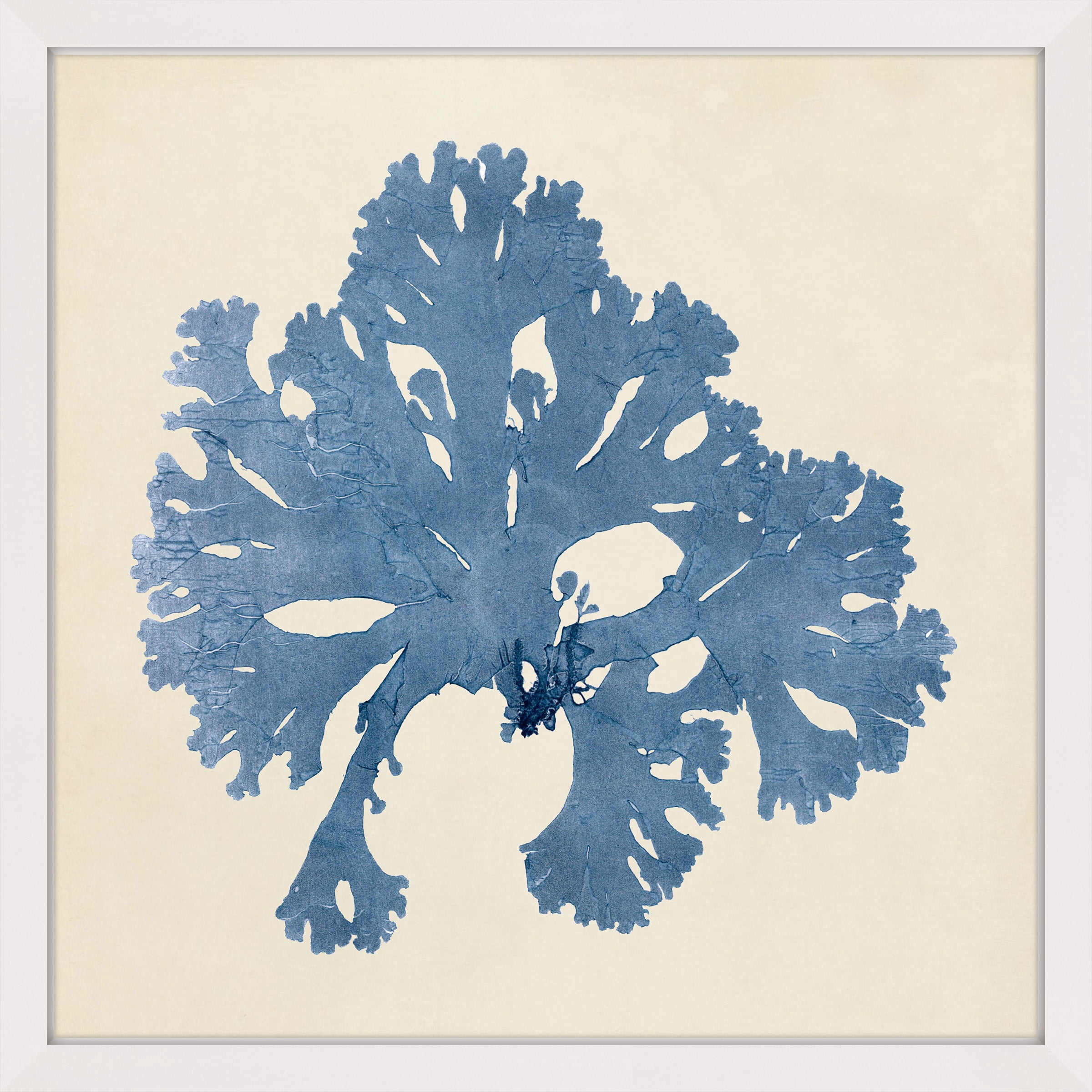 MARMONT HILL  - Handmade Chromatic Seaweed V Framed Print 32 x 32