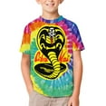 thumbnail image 3 of Cobra Kai T-Shirts for Boys Girls, Kids 3D Print Short Sleeve, Unisex Crew Neck Tee Shirts for Youth, 3 of 9