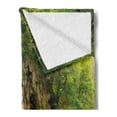 thumbnail image 2 of Nature Soft Flannel Fleece Throw Blanket, Majestic Waterfall Flowing down to River in National Park Fresh Landscape, Cozy Plush for Indoor and Outdoor Use, 70" x 90", Green Brown White, by Ambesonne, 2 of 5