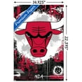 thumbnail image 3 of NBA Chicago Bulls - Maximalist Logo 23 Wall Poster, 14.725" x 22.375", 3 of 4