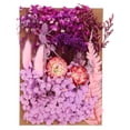 thumbnail image 1 of Unique Bargains Fleurs Séchées Naturelles Multiples Colorées Véritables Fleurs Séchées Pressées Plante Violet Pâle, 1 of 5