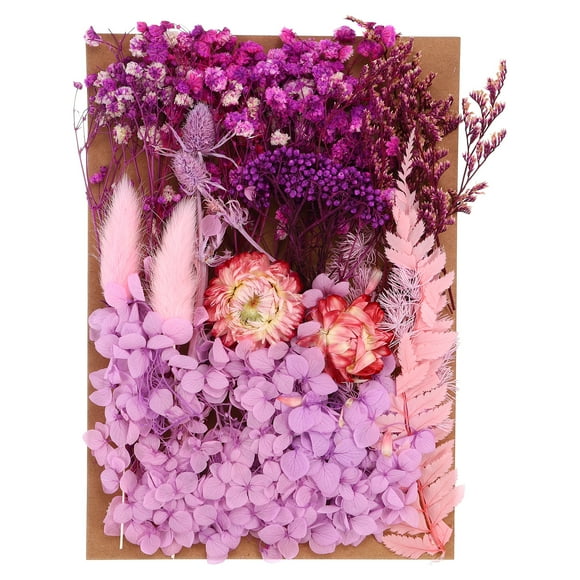 Unique Bargains Natural Dried Flowers Multiple Colorful Real Dried Pressed Flowers Plant Light Purple