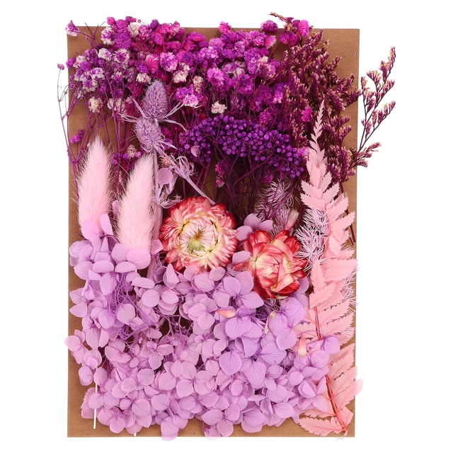 Unique Bargains Fleurs Séchées Naturelles Multiples Colorées Véritables Fleurs Séchées Pressées Plante Violet Pâle