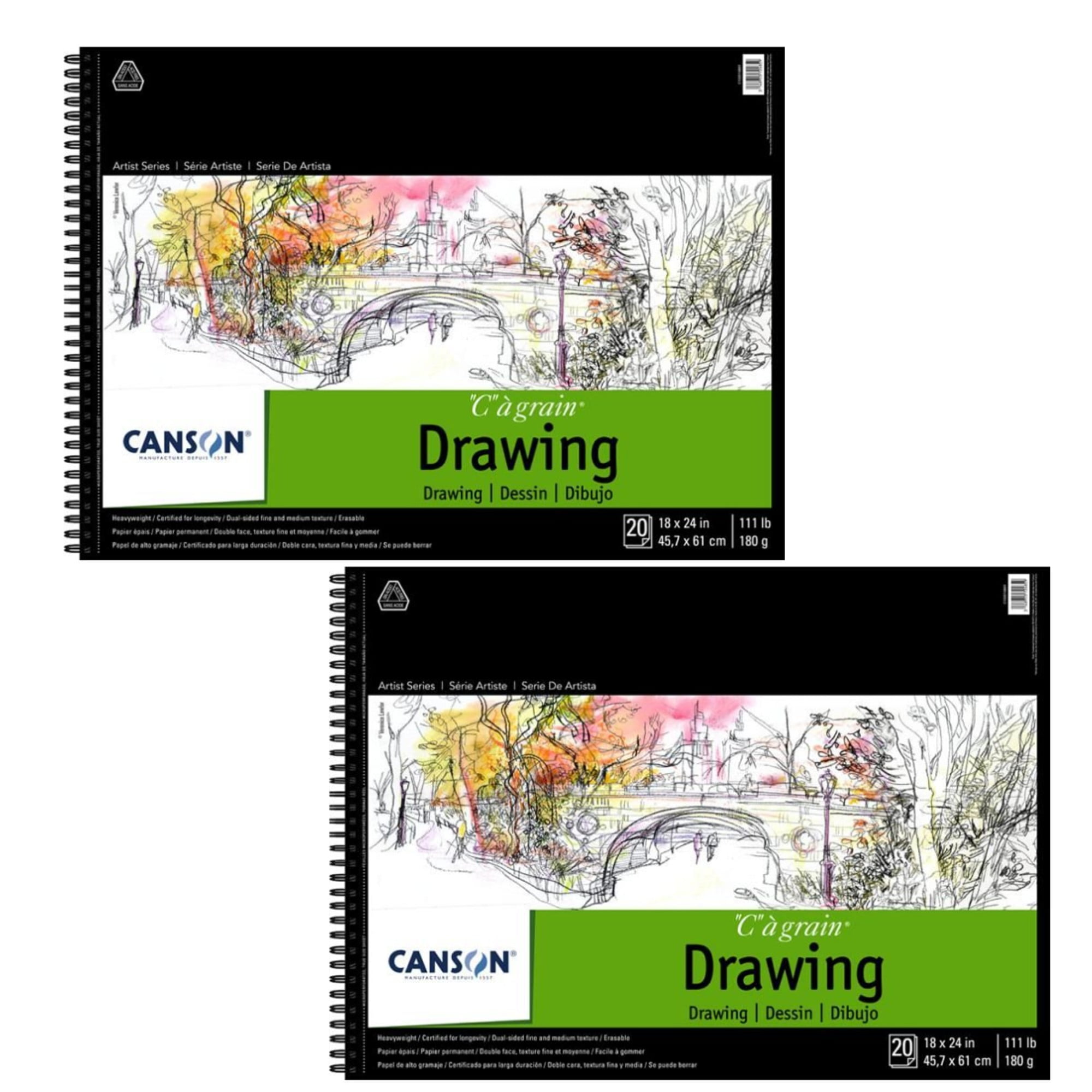  Canson Artist Series Drawing Paper, Wirebound Pad, 18x24  inches, 24 Sheets (80lb/130g) - Artist Paper for Adults and Students -  Charcoal, Colored Pencil, Ink, Pastel, Marker : Arts, Crafts & Sewing