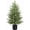 1PC, variant on 4FT Pre-Lit Artificial Norfolk Pine Christmas Tree – Realistic Potted Tree with 100 LED Lights & 8-Function Battery Box, Pre-Assembled Faux Holiday Décor for Indoor Use