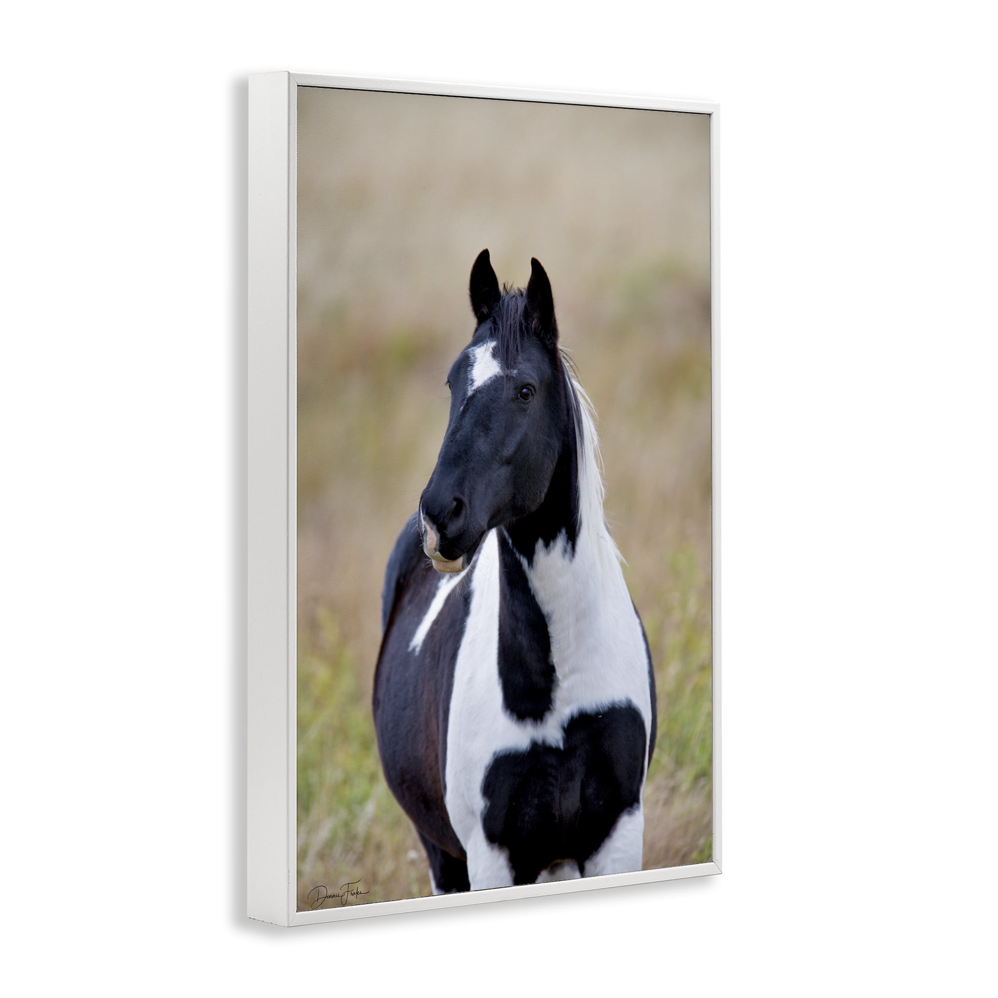 Stupell Industries Black & White Foal Animals & Insects Photography White Framed Art Print Wall Art, 16 x 24