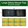 WtZbdo Large Super Sticky Rat Glue Traps, Mouse Glue Traps, Mouse ...