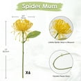 thumbnail image 2 of 6PCS Artificial Chrysanthemum Flowers 4'' Fake Pincushion Spider Mums for Home Vase Décor, Centerpiece, Wedding Bouquet(Yellow), 2 of 7