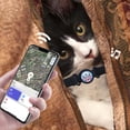 thumbnail image 4 of Unlimited Range 5G Pet GPS Tracker Collar for Cats & Dogs - AirTag Compatible, Worldwide Tracking, FindMy Supported, Lightweight & Waterproo, 4 of 5