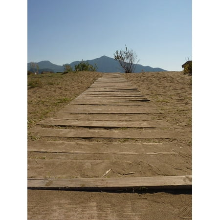 - Canvas Print Away Trail Run Desert Web Dry Stretched Canvas 10 x 14