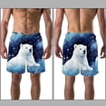 thumbnail image 3 of luoweisi Men's Beach Shorts Quick Dry Swim Trunks with Mesh Lining Galaxy Polar Bear S, 3 of 5