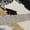 Black, variant on Addison Rugs Chantille Indoor/Outdoor Transitional Abstract Black Machine Washable Rectangle Rug, 10' x 14'