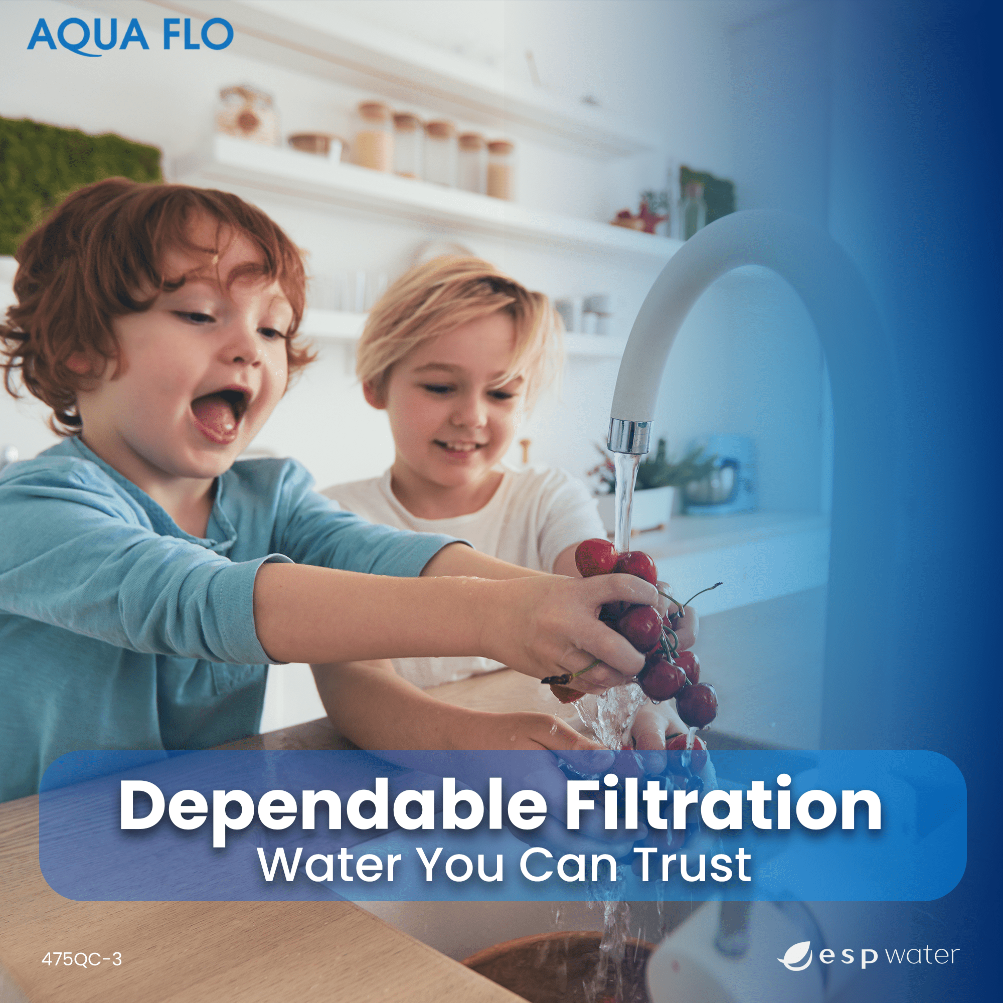 Aqua Flo 475QC-3 Ultrafiltration System – 3-Stage with Quick-Change Filters – Model 20010201