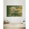 thumbnail image 4 of Day Dream DBSW2014 20 x 14 in. Bartholets Saw Whet Wall Art, 4 of 4