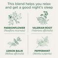 thumbnail image 6 of Traditional Medicinals Organic Nighty Night Extra Valerian Root Herbal Tea Bags, 6 of 14