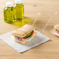 Clear Hinged Plastic Food Container 9"x5"x3" - Ideal For Sandwiches, Takeout & Storage