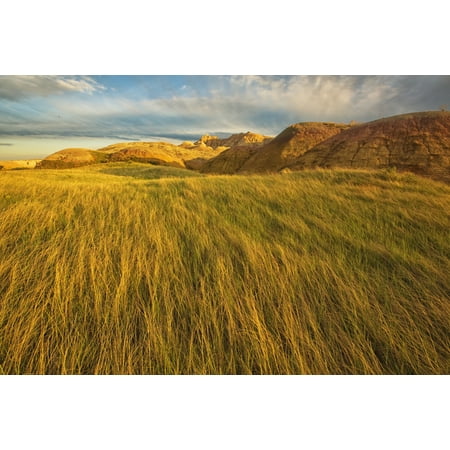 Sunset over the blowing grass and mud formations in badlands national park south dakota usa Canvas Art - Robert Postma  Design Pics (19 x
