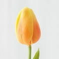thumbnail image 2 of Package of 6 Realistic Orange Tulip Stems, 2 of 3