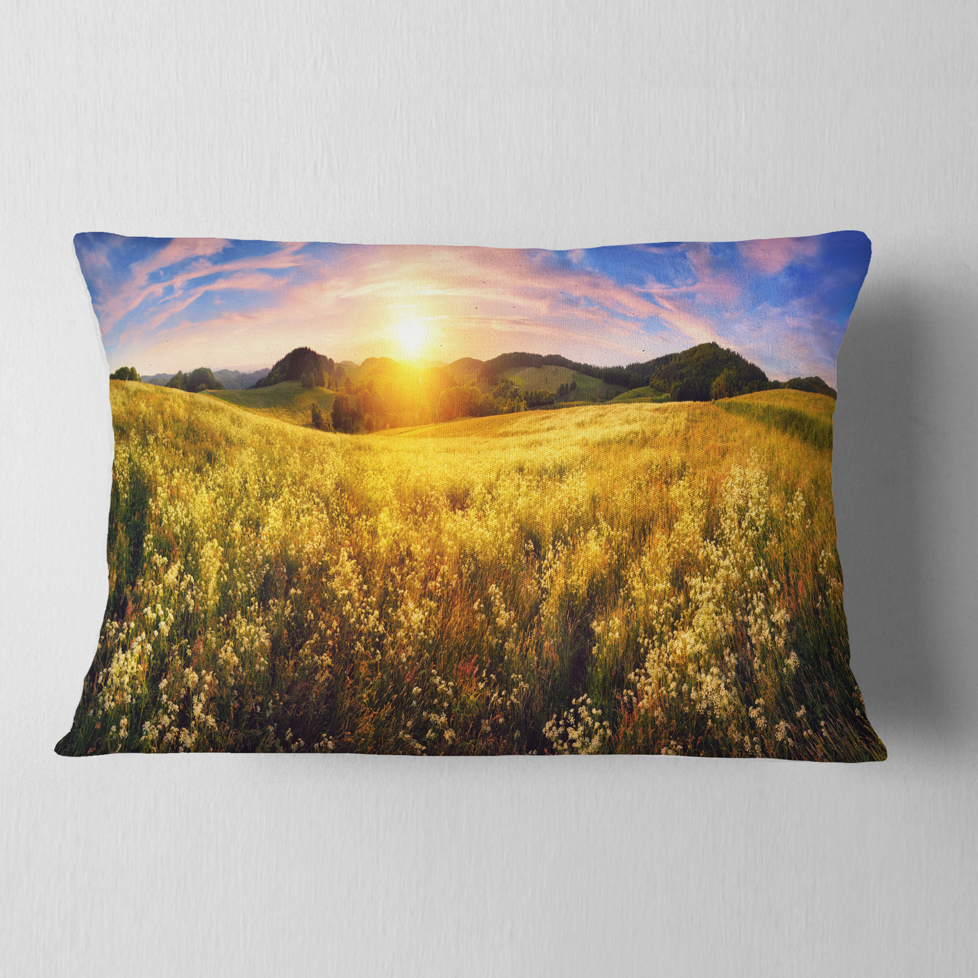 Designart Beautiful Meadow Panorama - Landscape Printed Throw Pillow - 12x20
