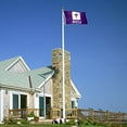 thumbnail image 4 of NYU Violets New York University Grand College Flag, 4 of 6