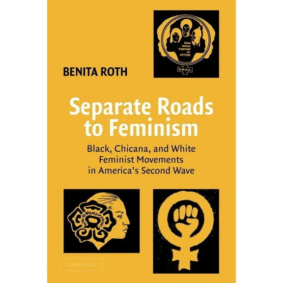 Separate Roads to Feminism: Black, Chicana, and White Feminist Movements in America's Second Wave, (Paperback)