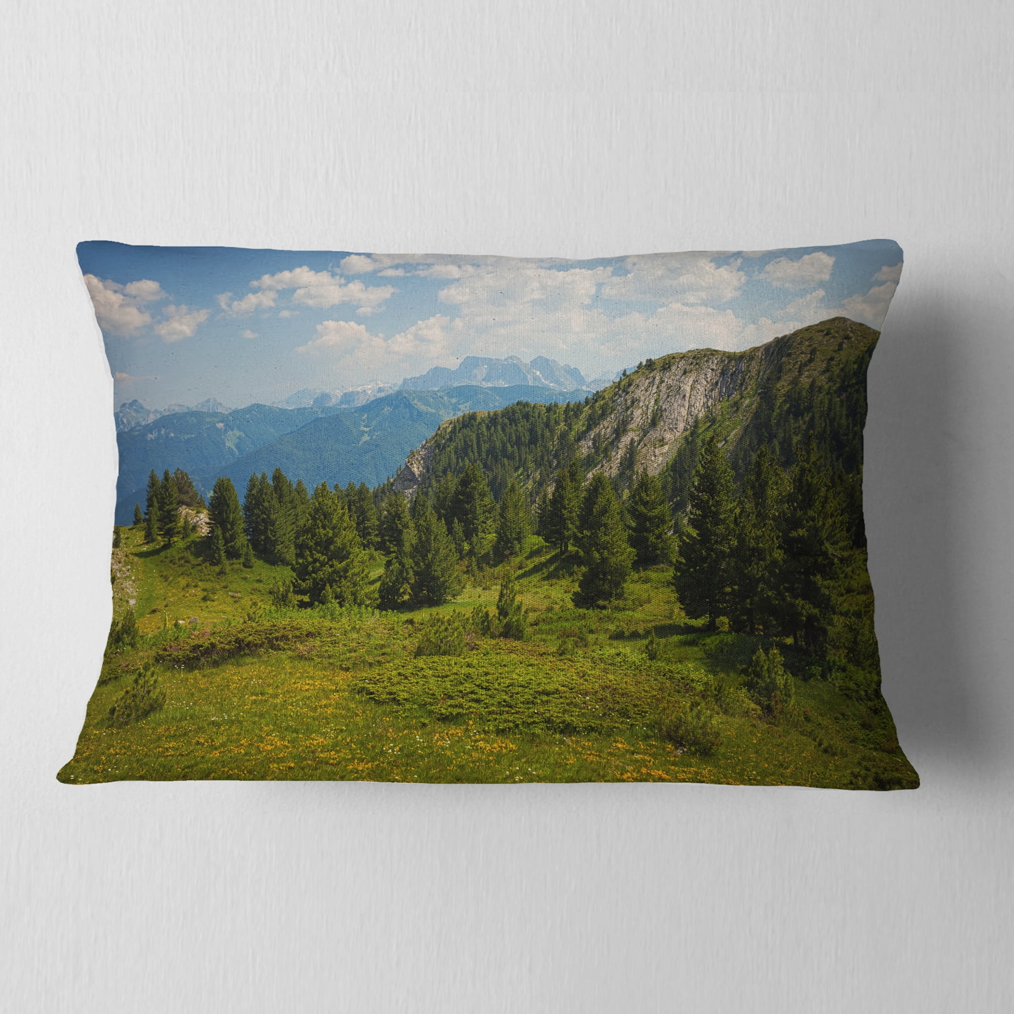 Designart Amazing Visitor Mountains - Landscape Photo Throw Pillow - 12x20