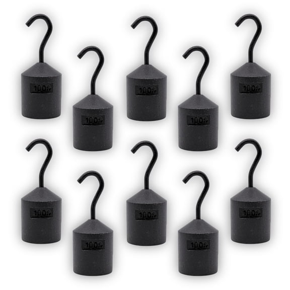 Eisco Labs - Hooked Weight 10-Pack, 100g Each - Iron, Cylindrical with Hook and Bottom Slot for Easy Lifting, Science Experiments, Physics, Scale Calibration, Measurement
