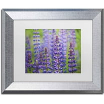 Trademark Fine Art 'Blue Lupine Flowers' Canvas Art by Cora Niele, White Matte, Silver Frame