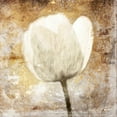 thumbnail image 2 of Grey, Jace 15x15 White Modern Wood Framed Museum Art Print Titled - Golden White Greige Mate, 2 of 4