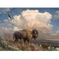 thumbnail image 1 of 1000P Knorlein Asrt, 1 of 5