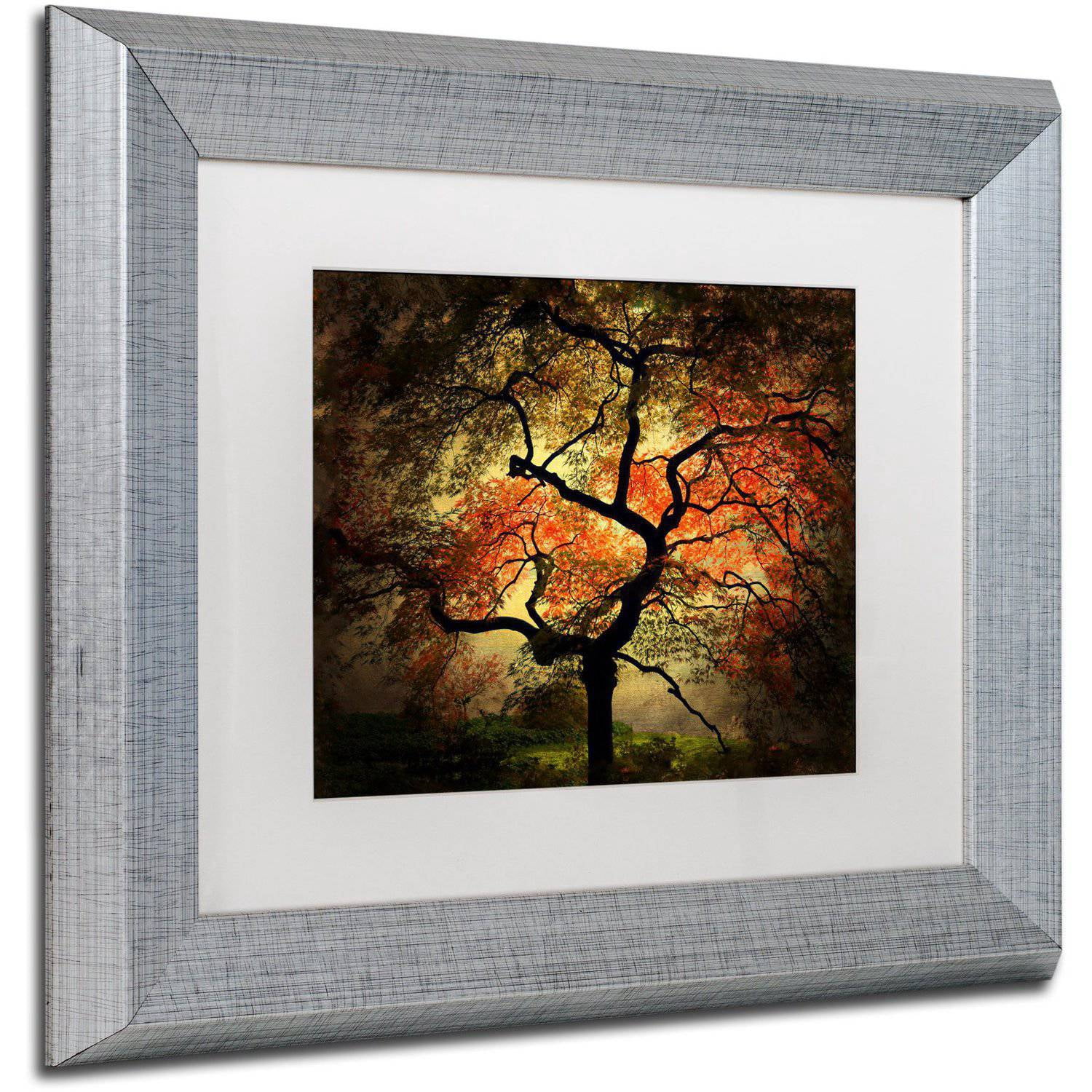 Trademark Fine Art "Japanese" Canvas Art by Philippe Sainte-Laudy White Matte, Silver Frame